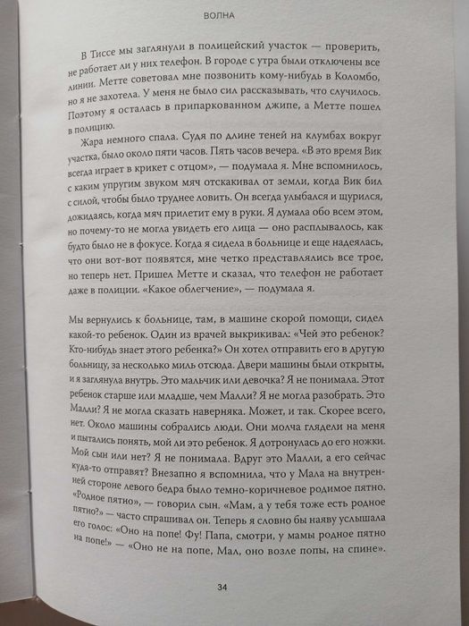 Книга Сонали Дераньягала. Волна.