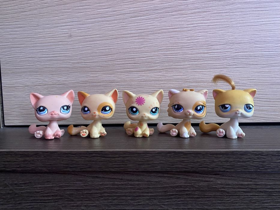 LPS Littlest pet shop koty zestaw