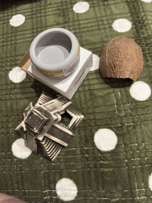 Набір для тераріума