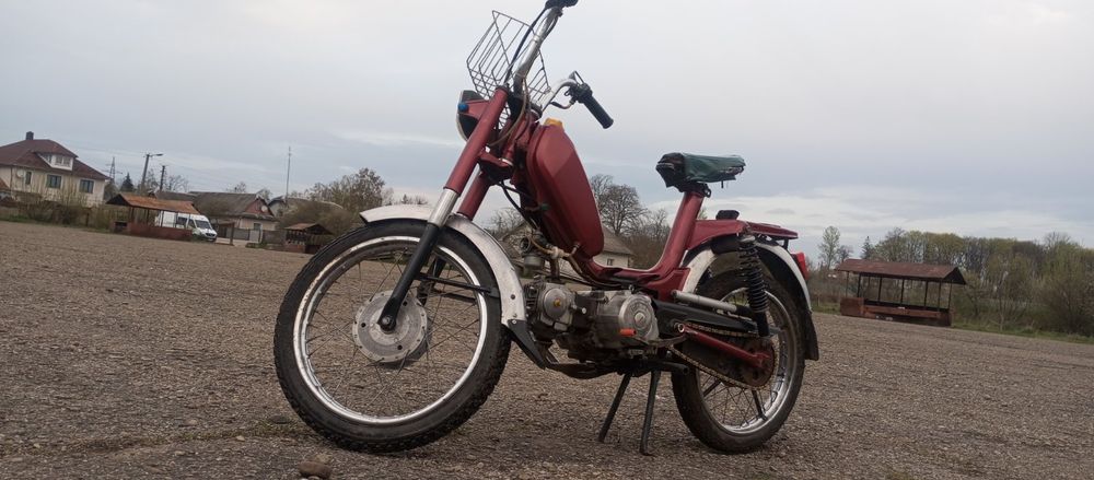 Малагутик Італія