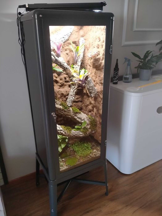 Wyjątkowe terrarium z witryny Fabrikör IKEA
