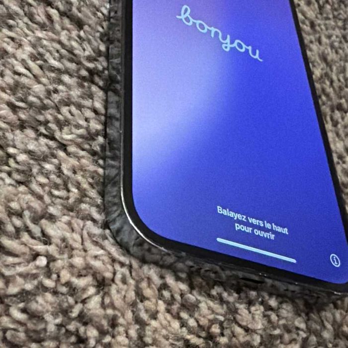 iPhone 13 Pro Max 256gb