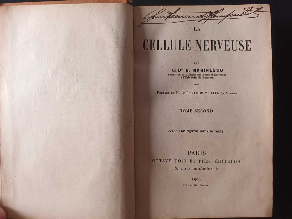 Encyclopédie Scientifique - La Cellule Nerveuse