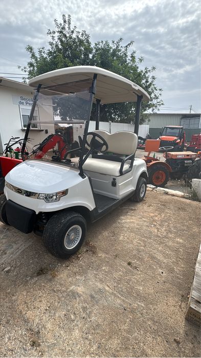 Buggy usado a bateria