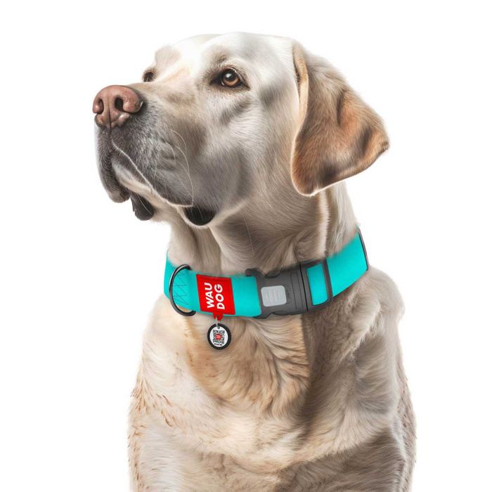 NOVO - Coleira ULTRA MODERNA Impermeável para Cães - Waudog
