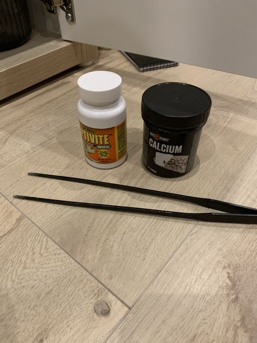 Terrarium + dwie gekony lamparci