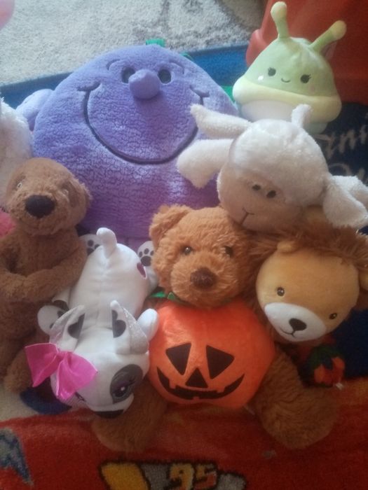 Віддам,віддам все разом