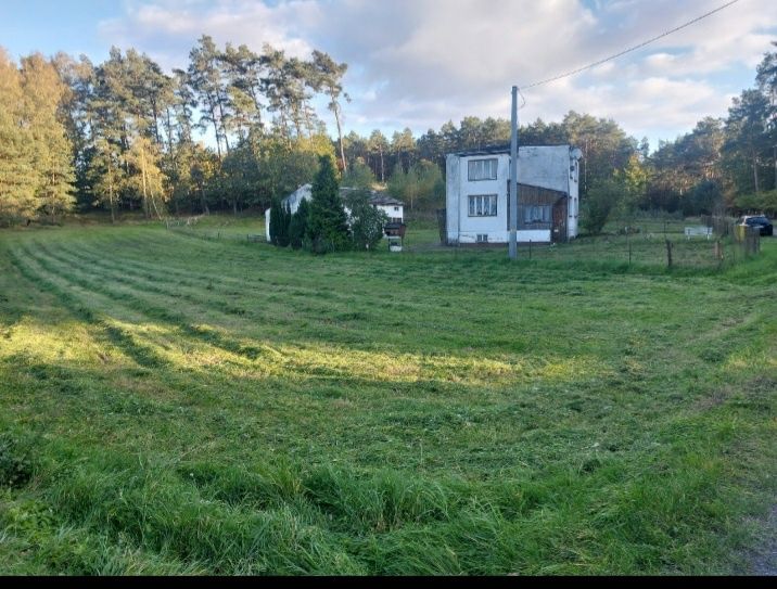Dom w Biestrzynniku na sprzedaż
