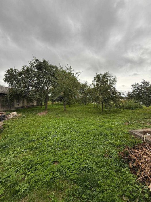 Особняк ст. Богородчани