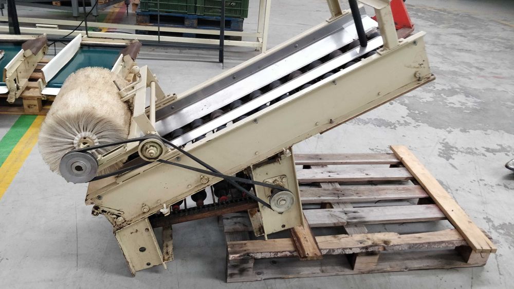 Calibrador de frutas ou legumes, elevador/separador em duas linhas64730135144706121