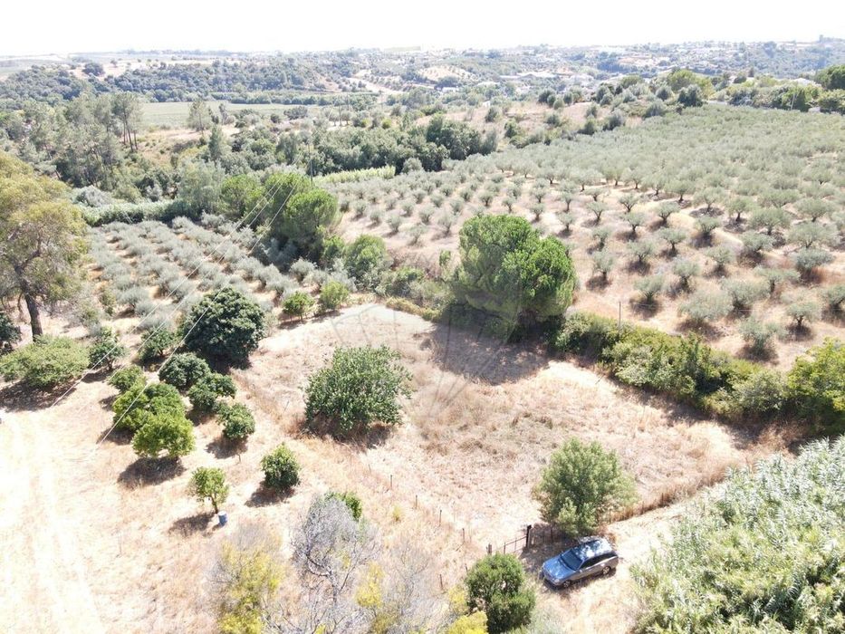 Terreno  para venda — São Vicente Do Paul E Vale De Figueira, Santarém