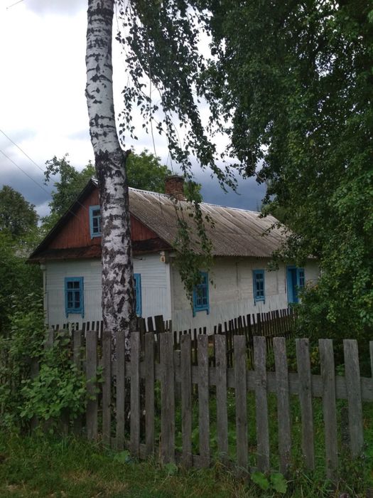 Будинок з ділянкою, хата