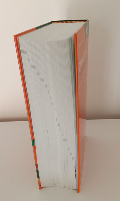 Dicionário Língua Portuguesa