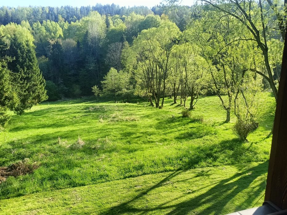 Domki bieszczady