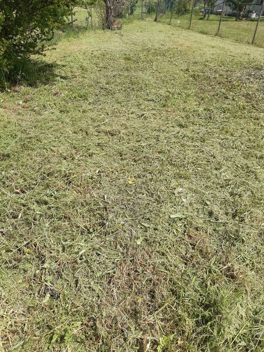 Limpeza de terrenos