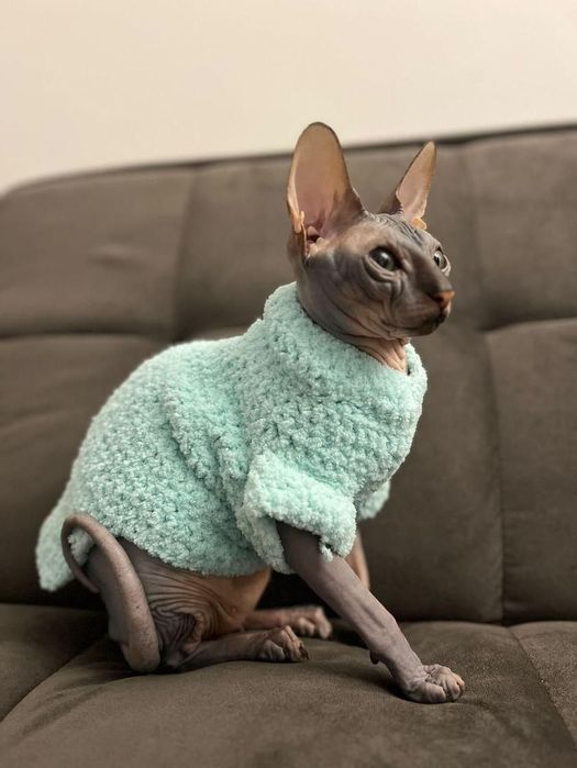 Одежда для кошек, котят, собак,сфинксов,кота, одяг для тварин на заказ