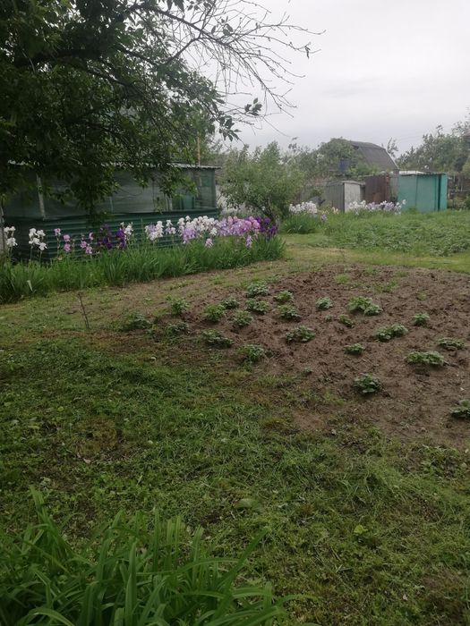 Дача з цегляним будинким кооператив Озон