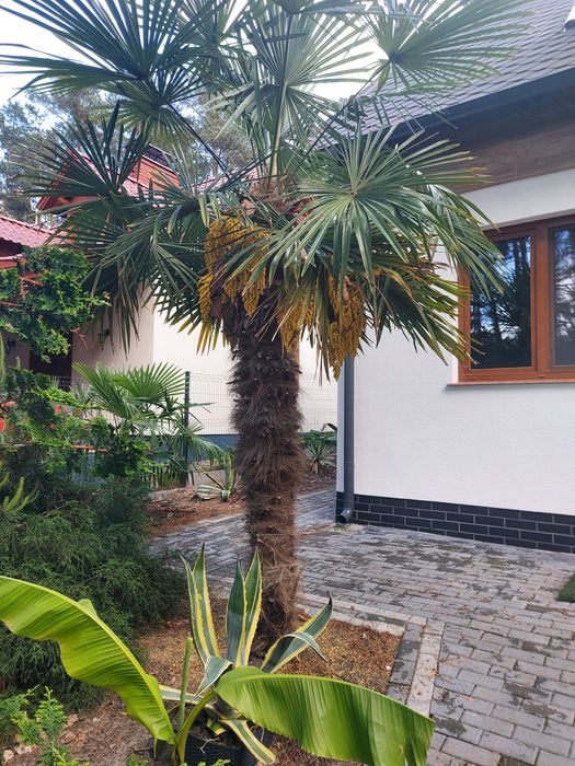 Apartament   JACUZZI nad Jeziorem  Brenno