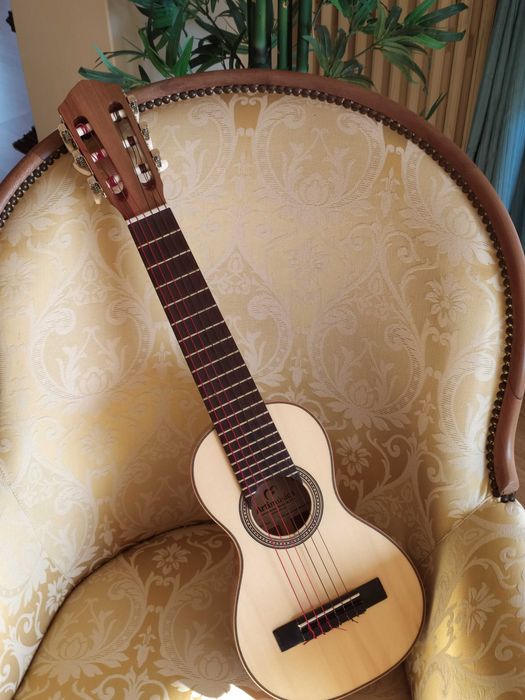 Travel Guitar / Guitalele