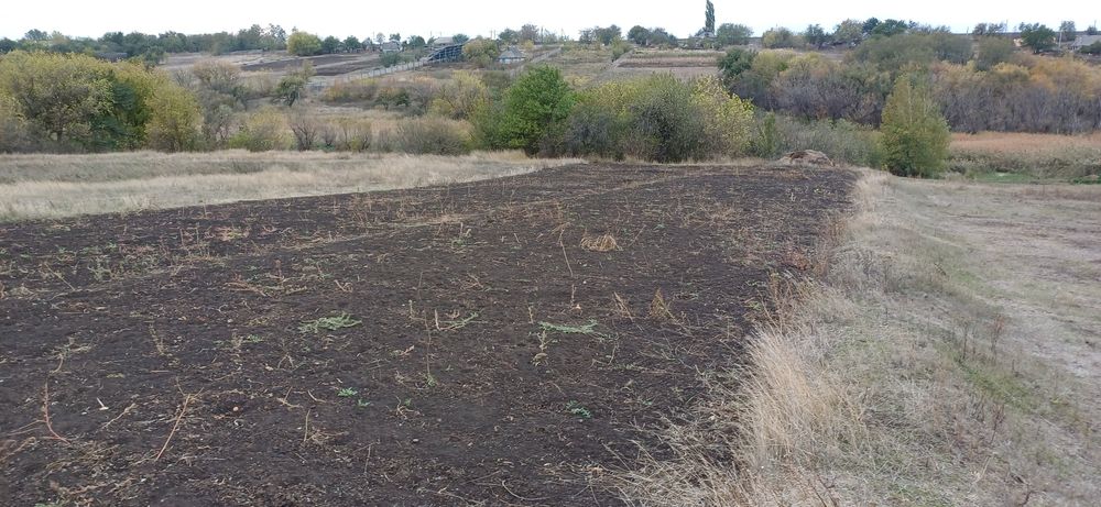 Продам будинок в с.м.т. Петрове