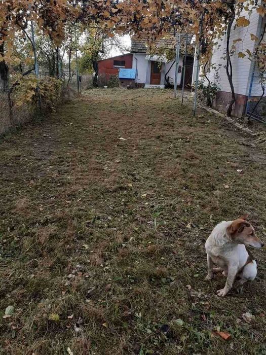 Продається будинок, село Осій, Хустського району.