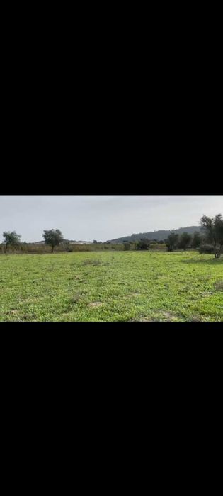 Excelente oportunidade  de ter um quinta junto au castelo de Monsaraz
