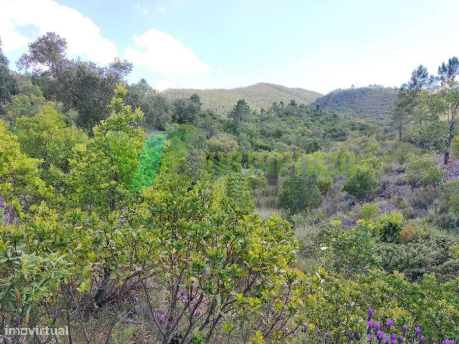 Lote de Terreno Rústico em Nave Redonda, Saboia — Sabóia, Beja