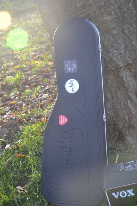 Zestaw Gitara BMG Special Art series Frank