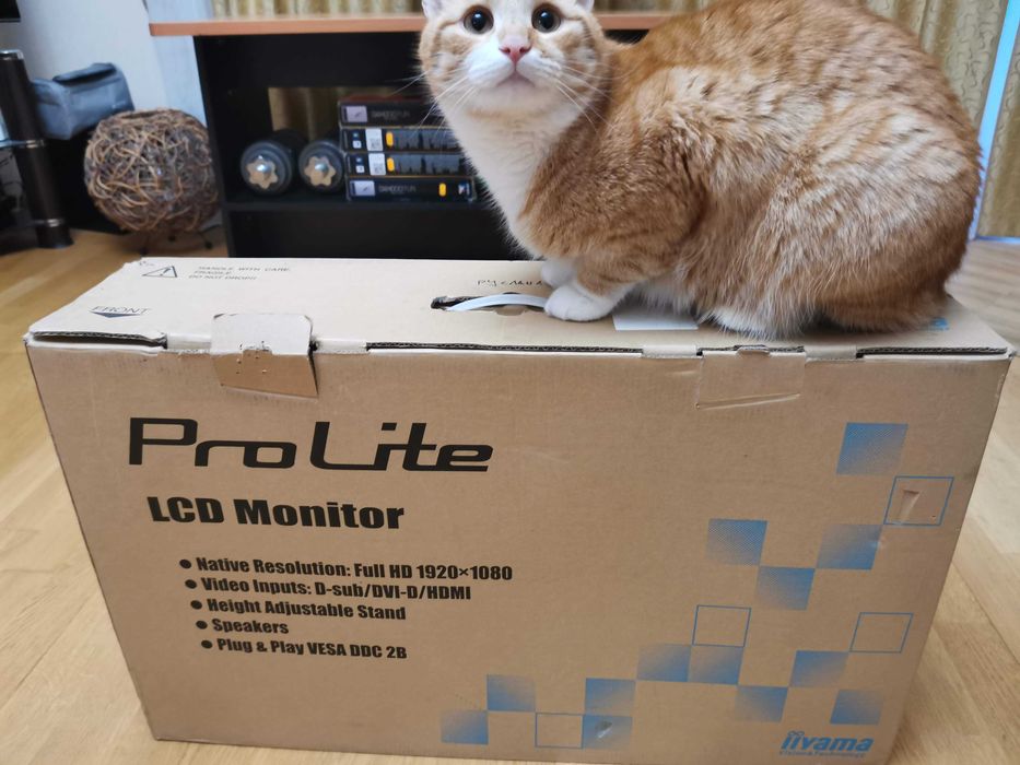 Професійні монітори iiyama ProLite XB2380HS-B1. Ліквідація офісу