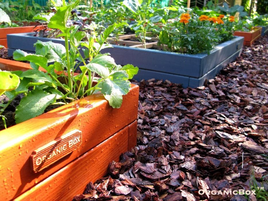 Декоративний город у вашому саду. Високі грядки, бокси, клумби