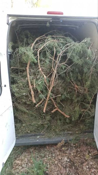 Wywóz odpadów zielonych Wywóz gałęzi Wywóz liści Łask Odbiór Gałęzi Sprzątanie działek Grabienie liści Koszenie trawy Odbiór trawy