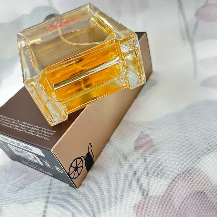 HERMÈS Terre d’Hermès perfumy dla mężczyzn 100ML