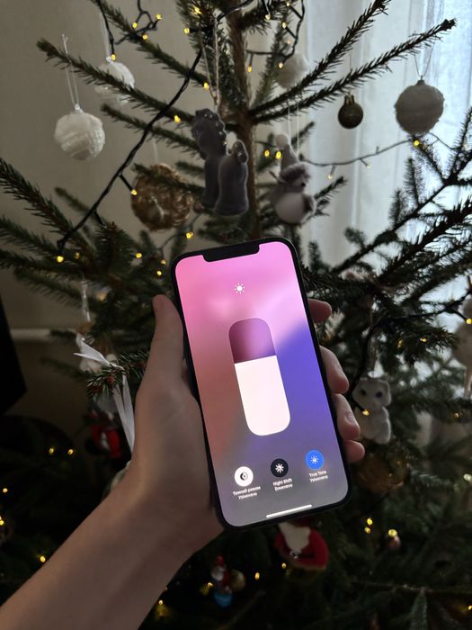 iphone 12 pro max 256