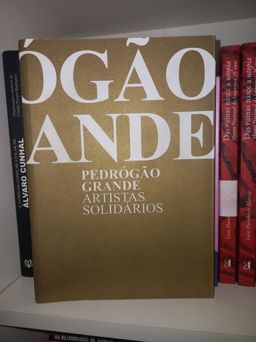 Pedrogão Grandd, artistas solidários