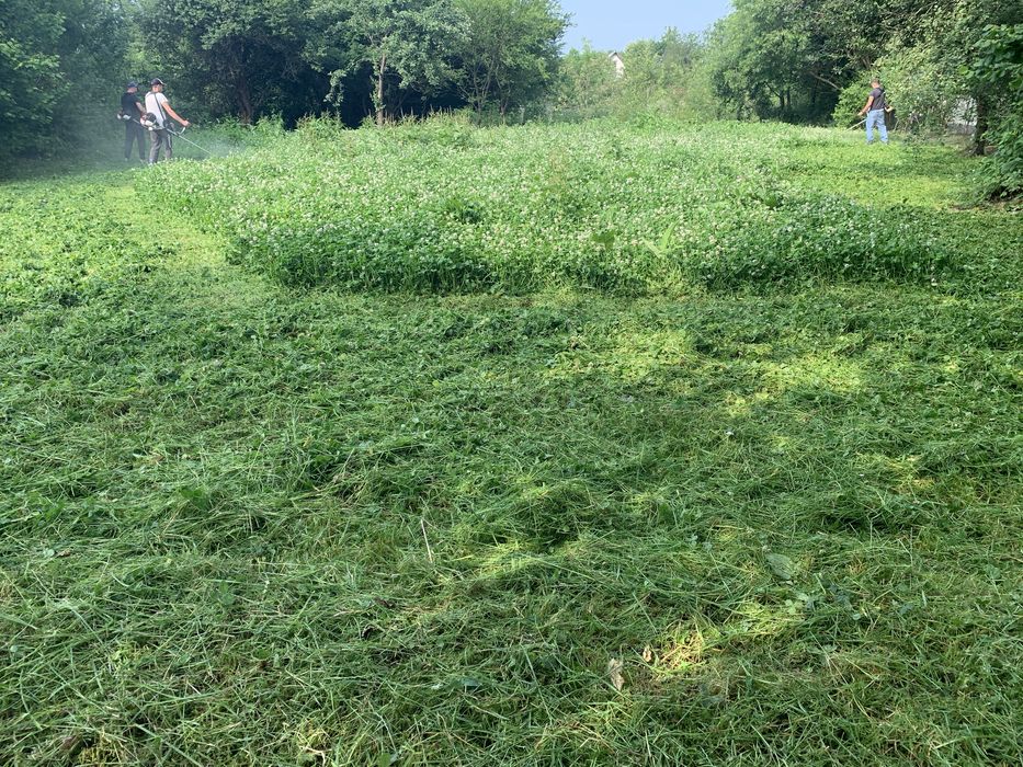 Культивація ділянок,розчистка,косіння трави.