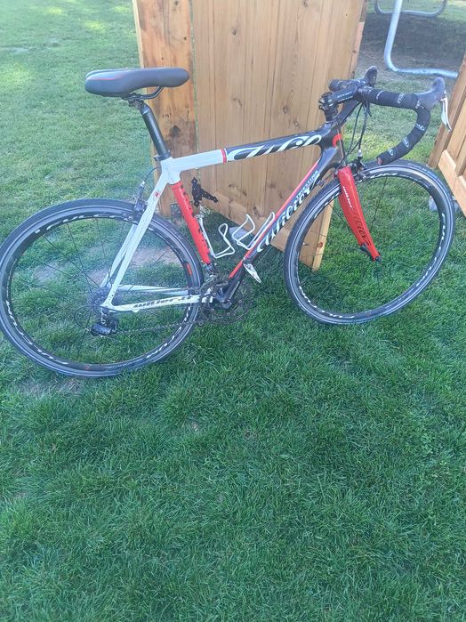 Rower Wilier Triestina Mortirolo Carbon / Campagnolo Veloce