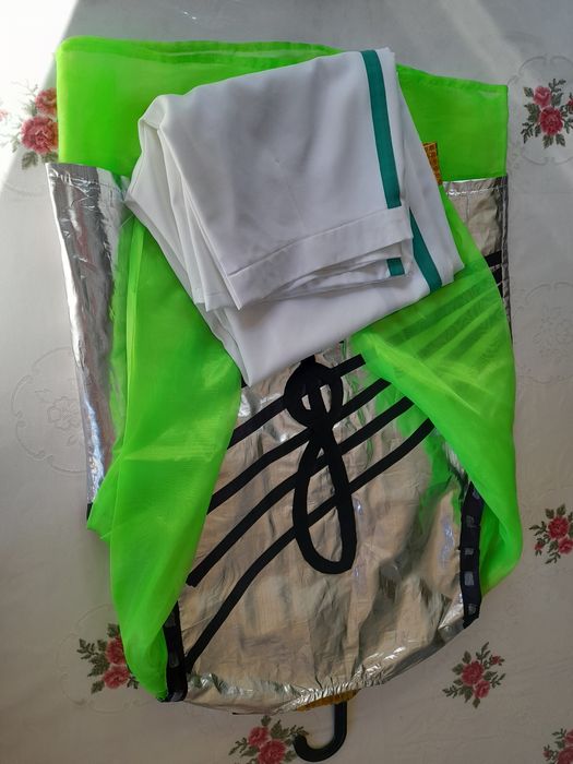 Disfarce de carnaval