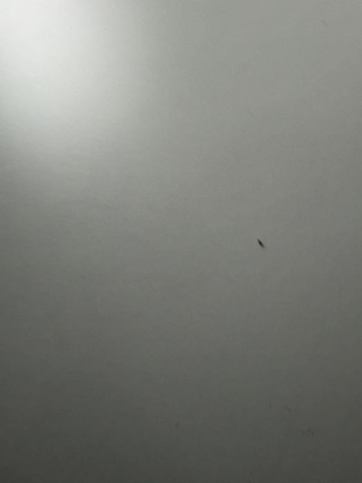 Stół      biały okazja