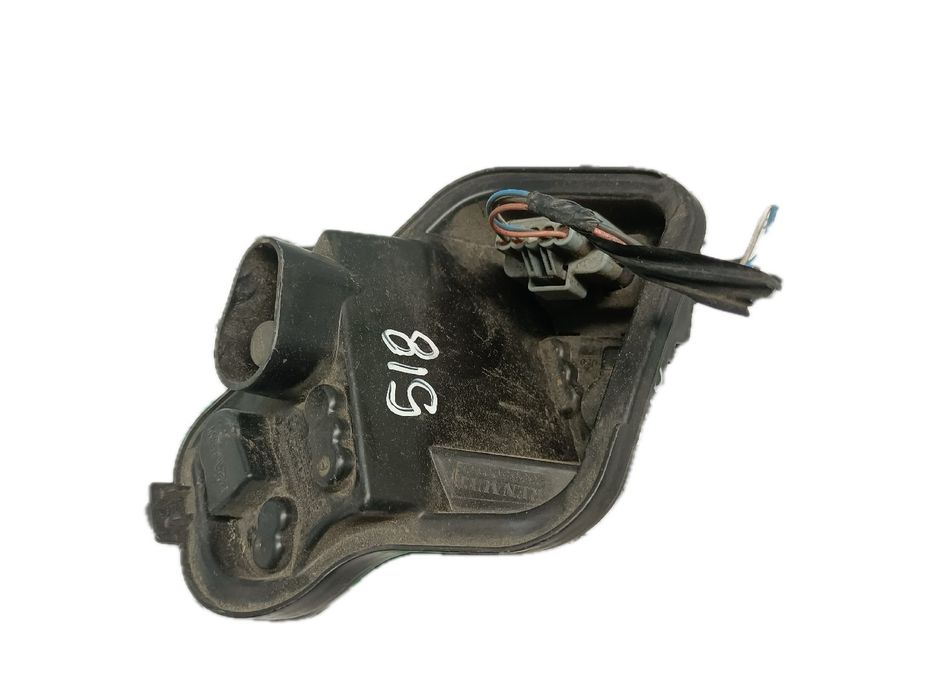 Suporte lâmpada esquerdo RENAULT Megane III (BZ0_)