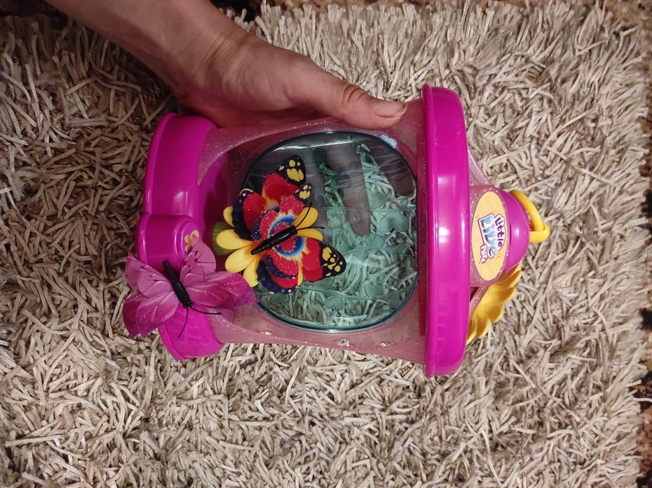 будинок для метеликів Little live pets
