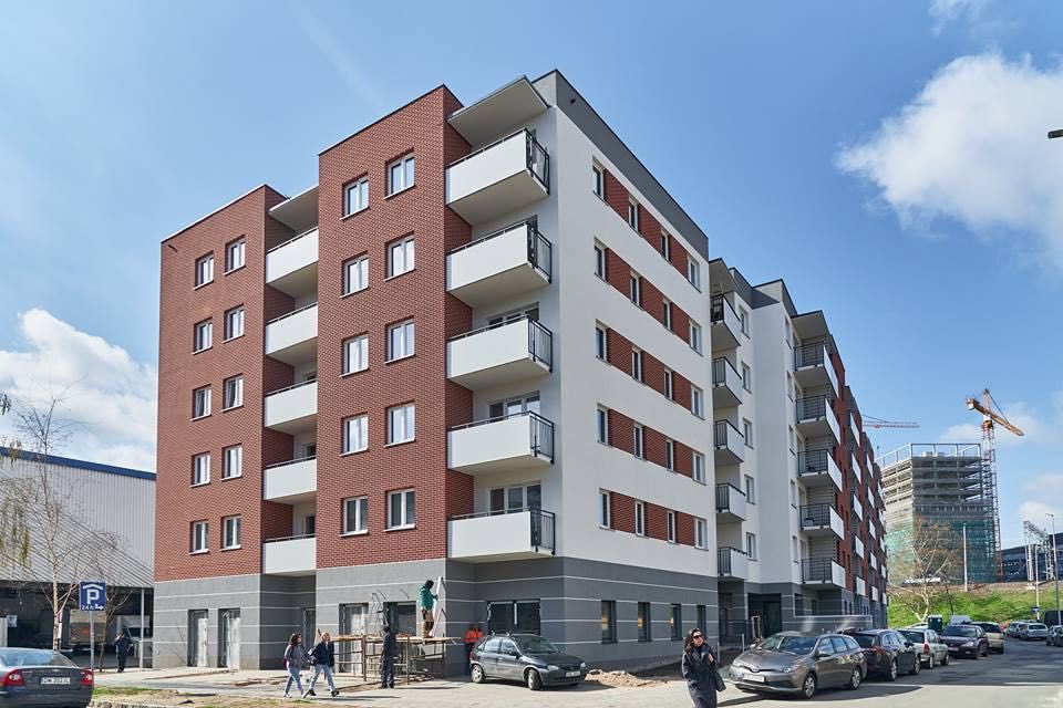 Zdjęcie 8