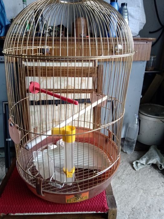 Клітка для папуги, укомплектована.