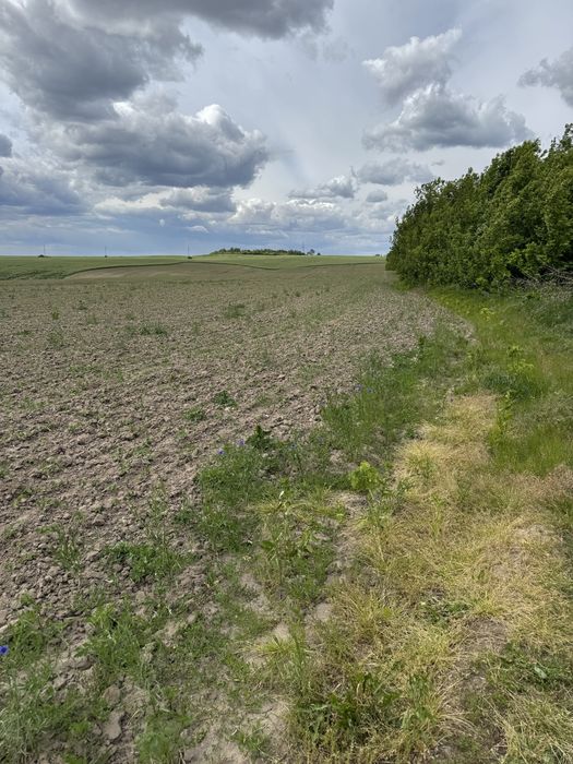 Продаж землі 50 сот комерційного призначення