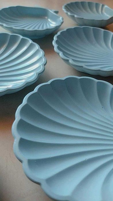 Concha jóias/decorativa