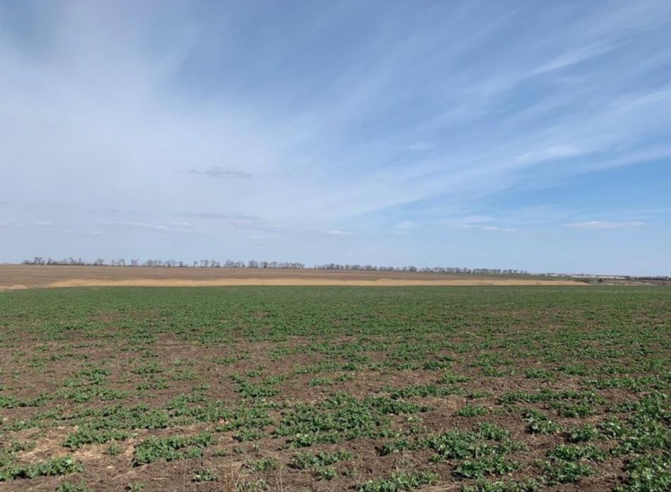 Продам земельний участок ОСГ село Латовка