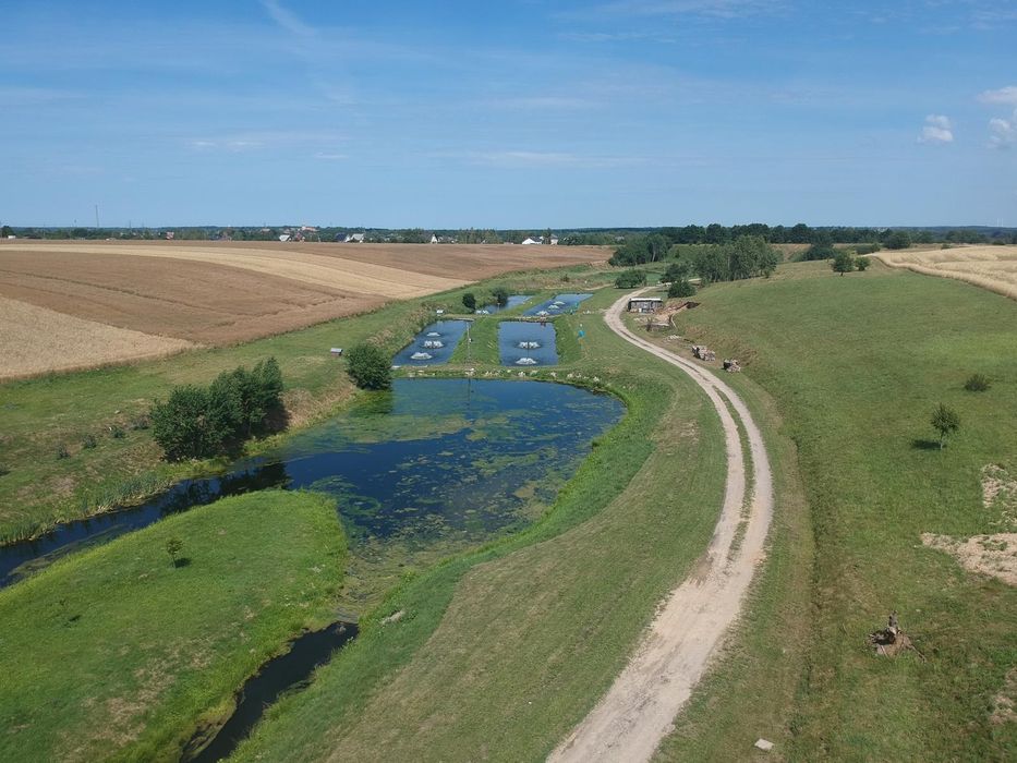 Prywatne łowisko- świeży pstrąga tęczowy