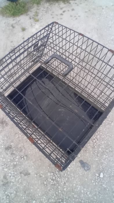 Caixa de transporte animais