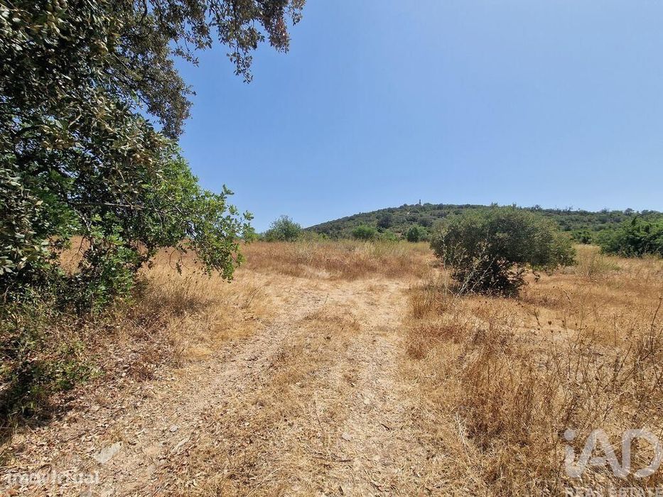 Terreno Agrícola em Santa Bárbara de Nexe