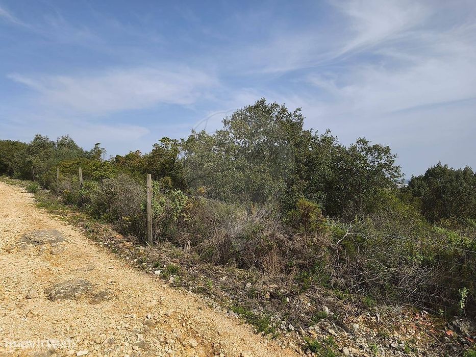 Terreno  para venda