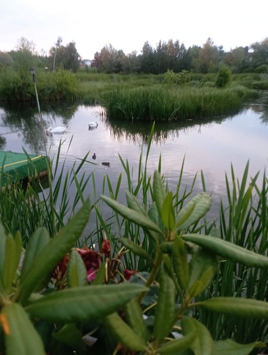 Domki nad Rozlewiskiem w Rzeszowie | CAŁOROCZNE DOMKI, SAUNA, BALIA